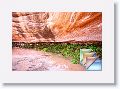 Wahweap Hanging Gardens * (143 Slides)